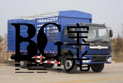 合肥二手货车买家电话|宝光热线13966684833|宝光供